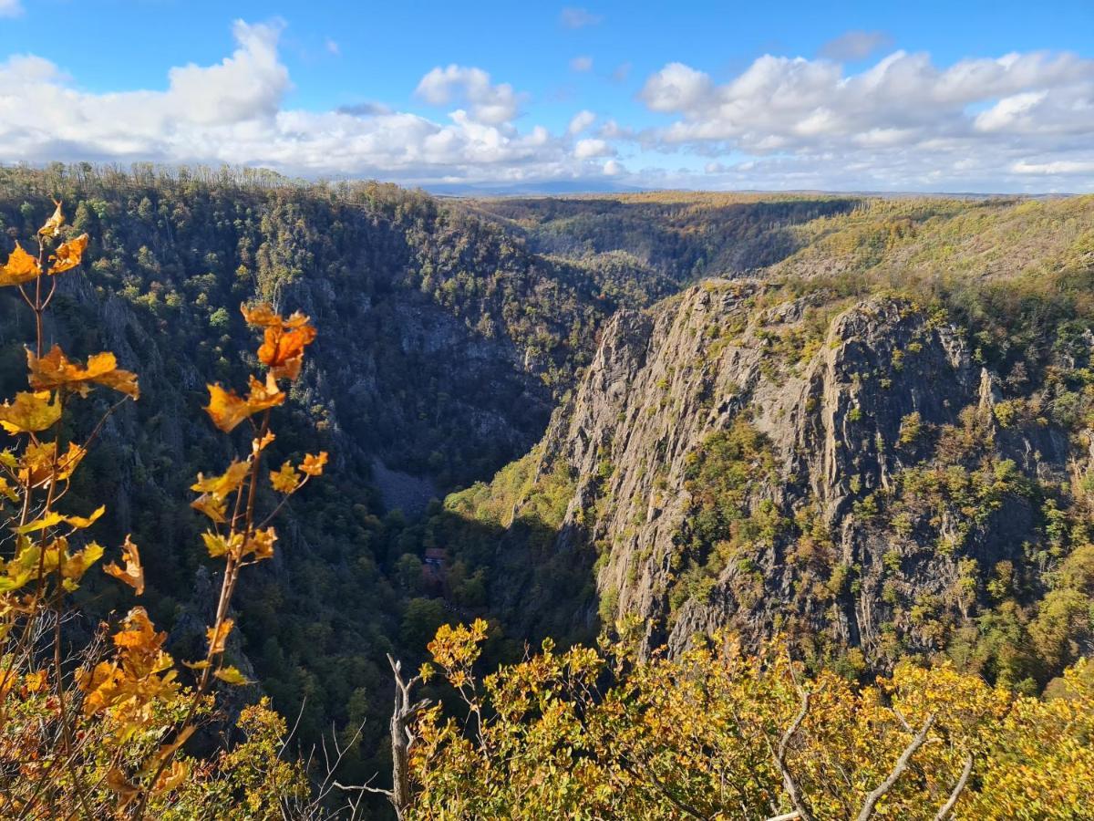 Ferienwohnungen Fam. Bartl Bad Suderode Exteriér fotografie